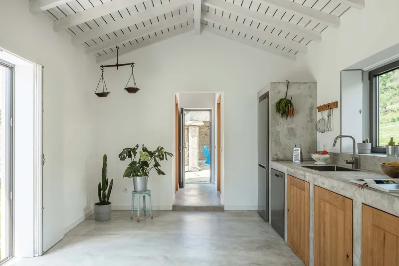 Kitchen and hallway with painted timber ceiling slats, concrete counters, and potted plants in daylight