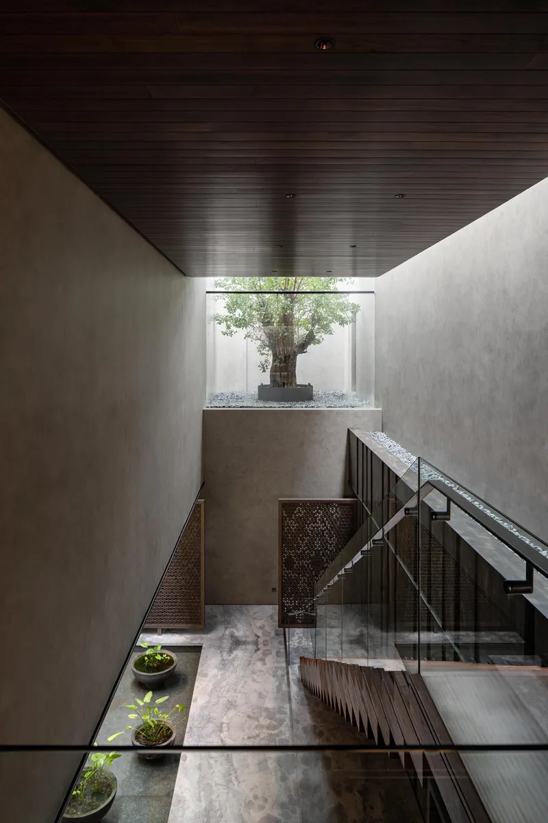 Double-height stairwell with dark timber ceiling and concrete walls framing courtyard tree