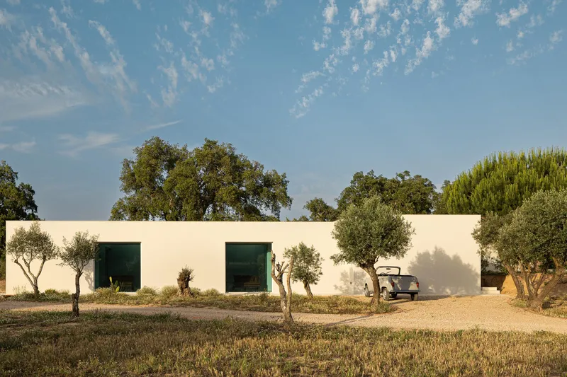 White stucco facade with dark window openings and olive trees along a gravel drive under cirrus clouds