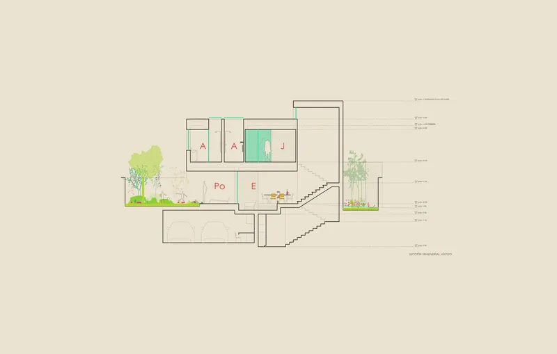 Section drawing showing multi-level volumes with stairs and planted courtyards