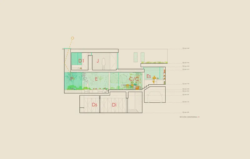Longitudinal section drawing showing rooms with a planted interior courtyard and rooftop terrace