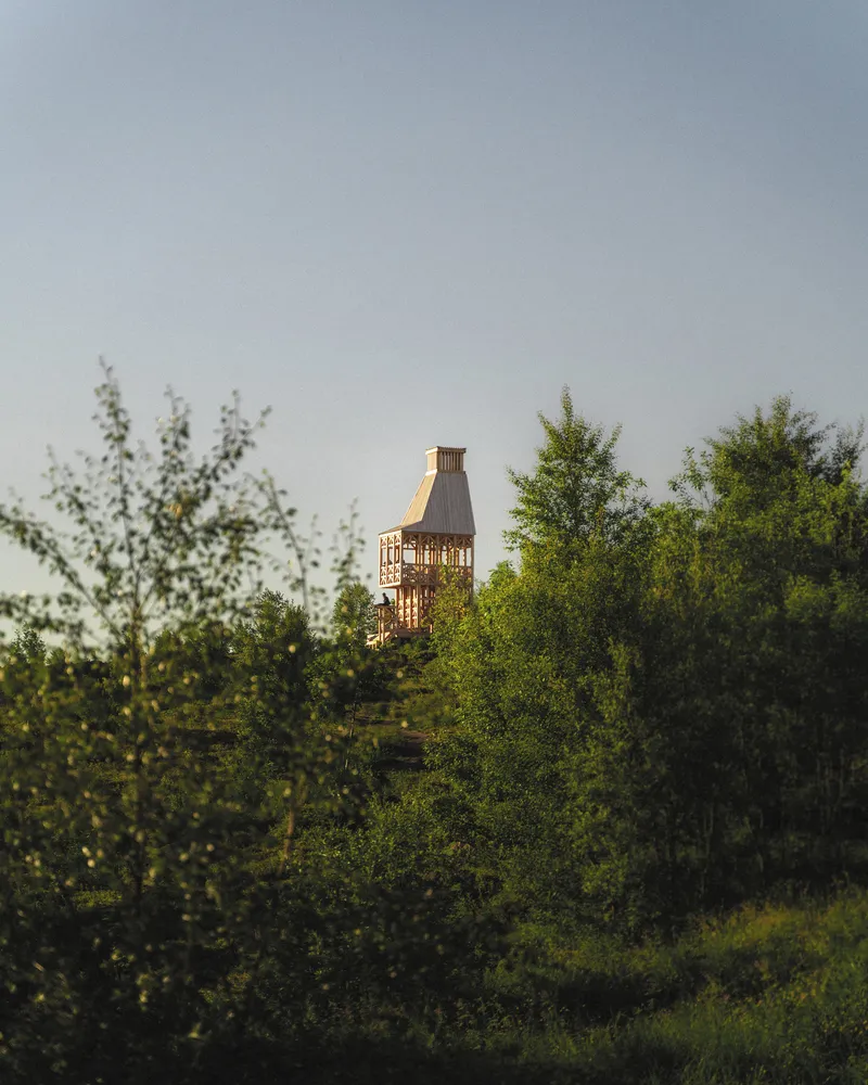 The timber tower rising above birch trees in evening light