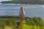 Evgeny Makarenko Builds a Timber Lighthouse on a Kola Bay Hillside with Almost No Metal Fasteners