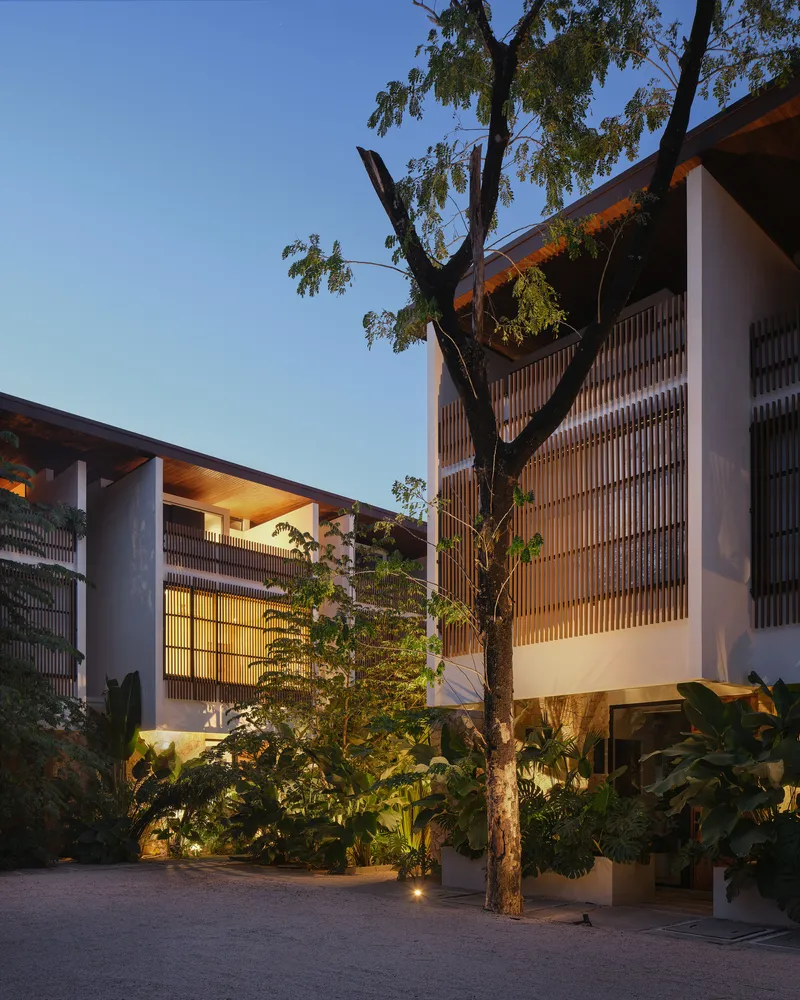 Courtyard with mature tree framed by timber-screened facades and tropical planting at dusk