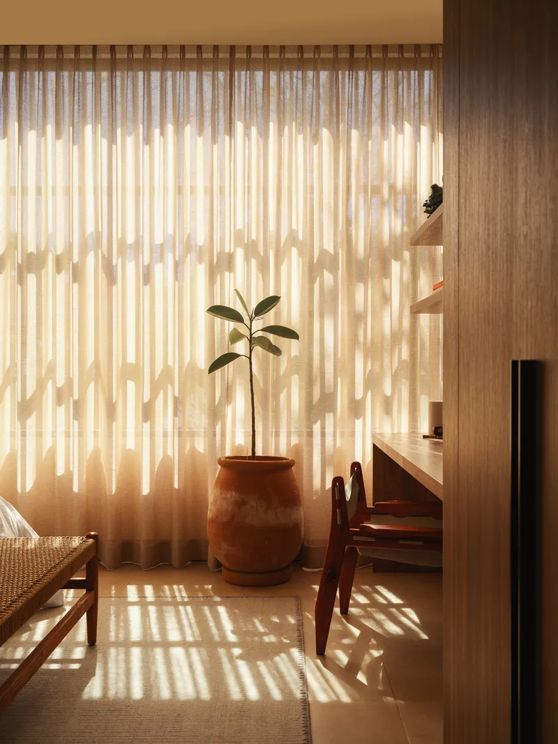 Living room corner with filtered sunlight casting shadows through vertical screens onto a potted plant