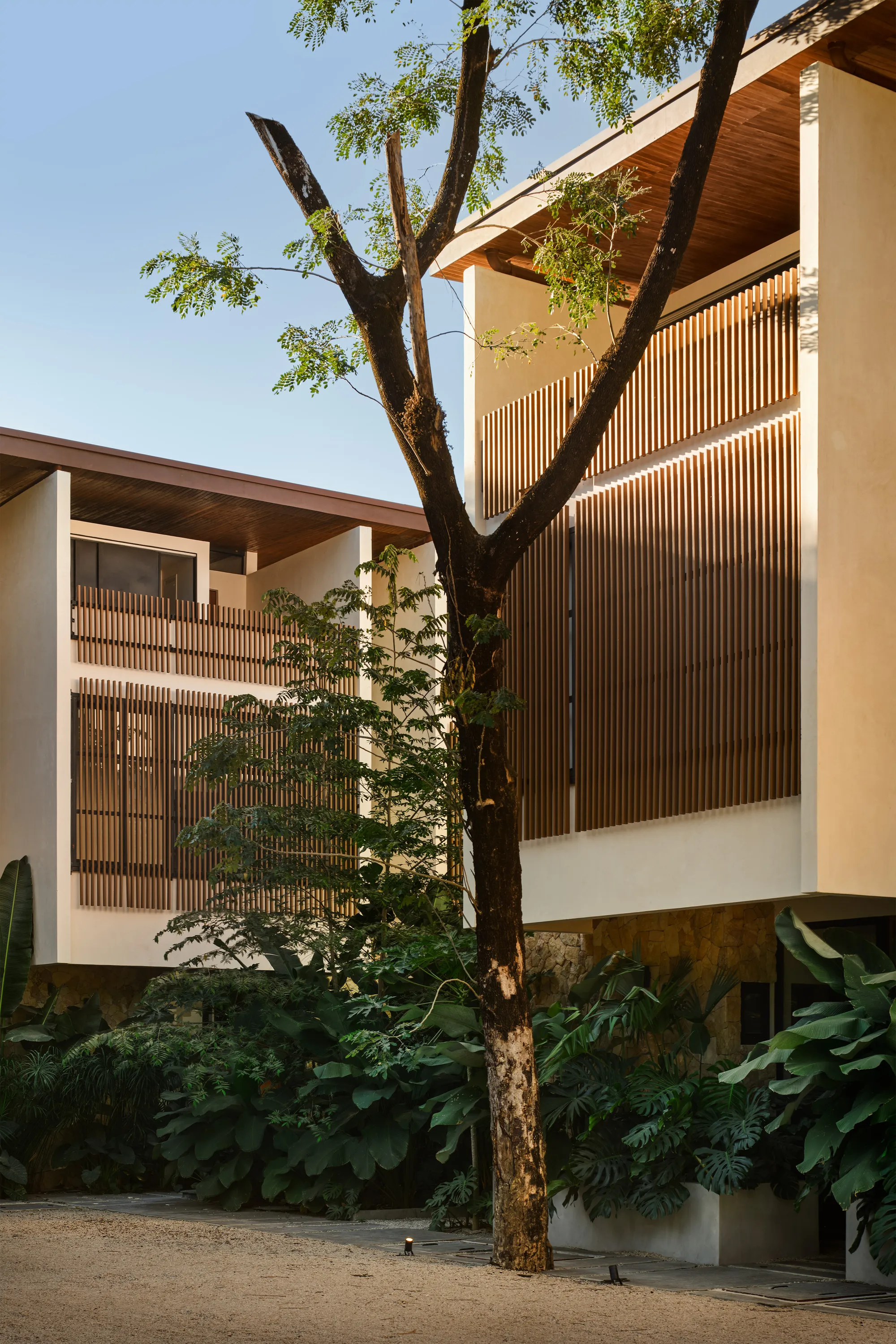 FAMM Arquitectura Organizes Ten Villas Around Courtyards and Jungle in Nosara, Costa Rica
