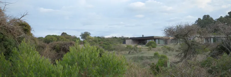 Distant view of the residence nestled into a hillside among native trees and scrub vegetation