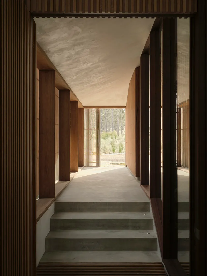 Entry corridor with concrete steps flanked by timber battened walls and angled ceiling opening to landscape
