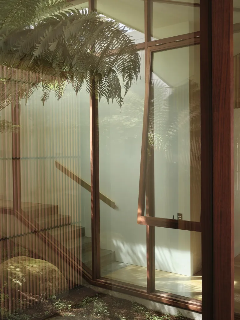 Floor-to-ceiling glazing with timber frames looking onto an interior courtyard garden with ferns and sunlight