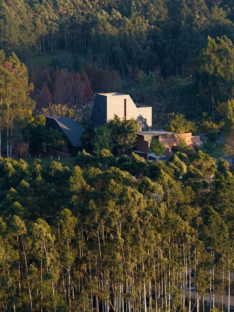 Aerial view of the compound with angled roofs nestled among eucalyptus trees in golden afternoon light