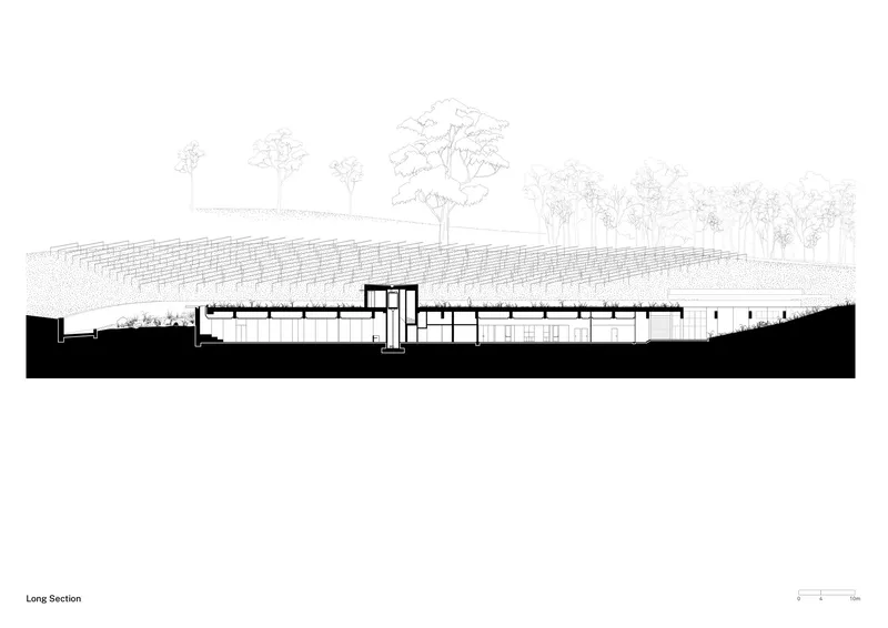 Long section drawing showing the partially submerged structure with planted roof under scattered trees