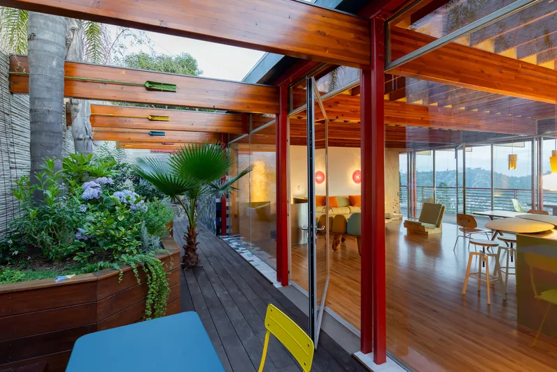 Planted interior courtyard with timber deck, glass walls and palms under a slatted timber roof