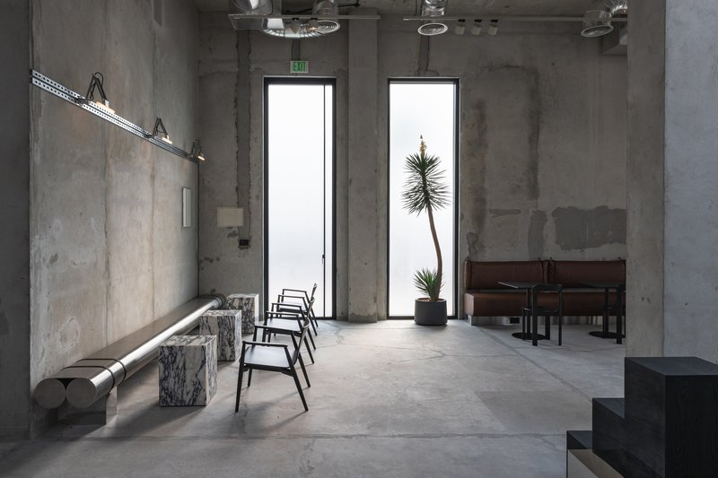 Double height window framing a tall desert plant against bright daylight