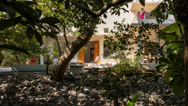 Garden courtyard with old tree canopy shading a gravel ground and white building facade beyond