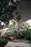 Aamir and Hameeda Design a Hyderabad Home Around Its Trees, Not Despite Them