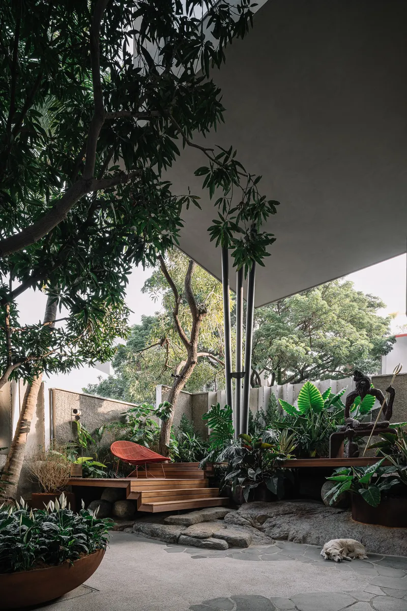 Aamir and Hameeda Design a Hyderabad Home Around Its Trees, Not Despite Them