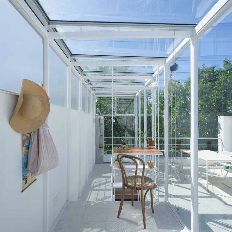 View through the transparent roof structure with aluminum beams framing the treetops and sky beyond