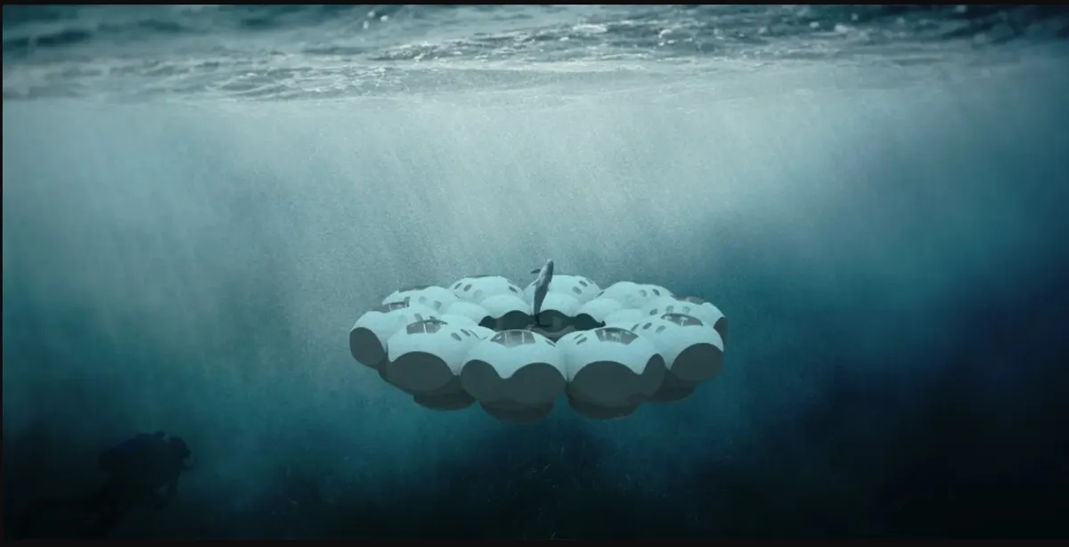 Wireless CoralPods: A Vision of Underwater Architecture for Sustainable Ocean Living