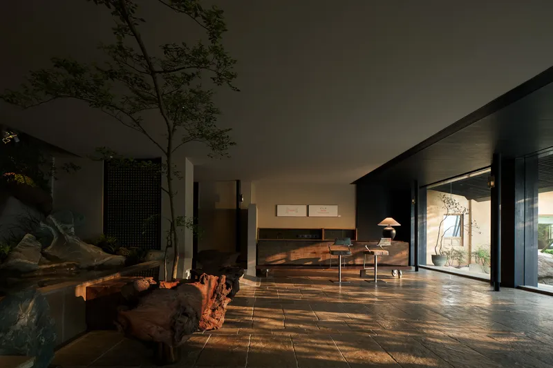 Interior living space with stone flooring and tree planting beneath a light well in afternoon sunlight
