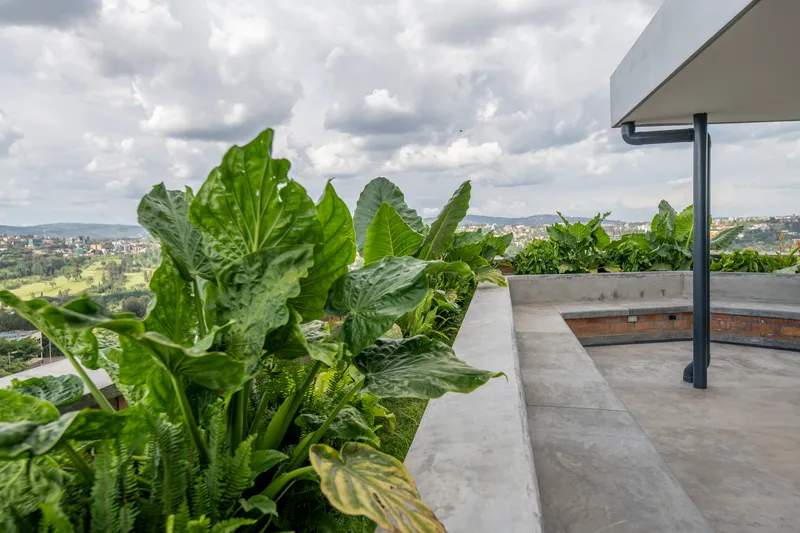 Rooftop terrace with concrete planters containing large-leafed tropical plants under cloudy skies