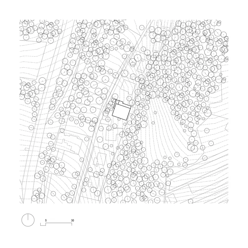 Site plan drawing showing a square volume surrounded by dense tree canopy and curving paths