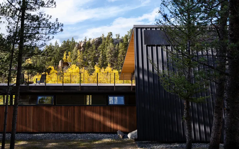 Exterior showing vertical black metal cladding, timber siding, and planted green roof amid pine trees