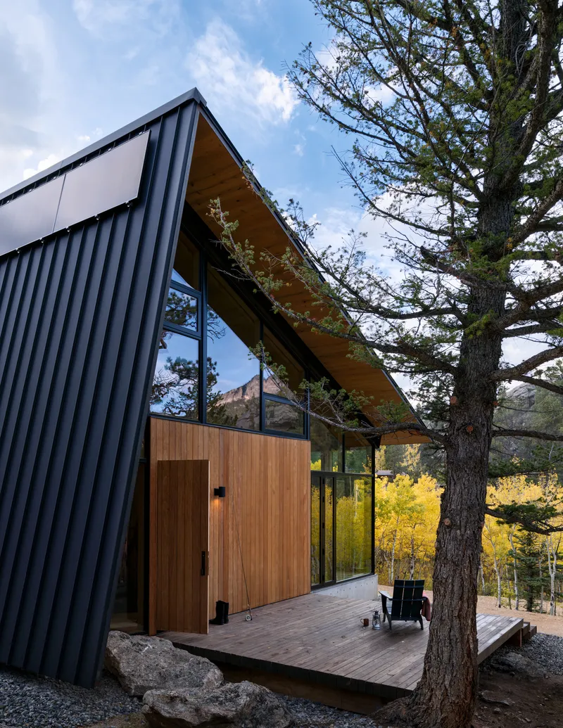 Angled facade with corrugated metal cladding and timber deck beside an old pine tree at dusk