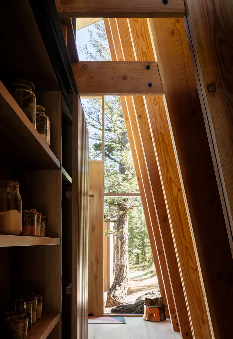 Vertical timber-clad hallway with skylight slots casting striped shadows and view to pine tree