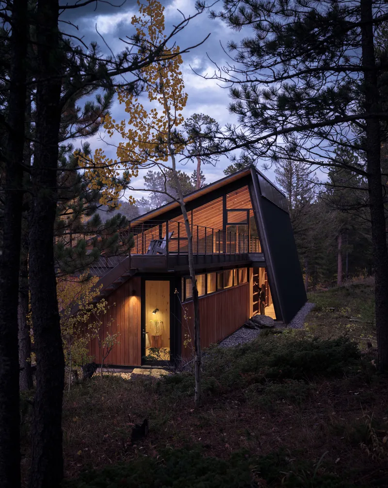Two-level timber-clad volume with sloped roof nestled among pine trees at dusk