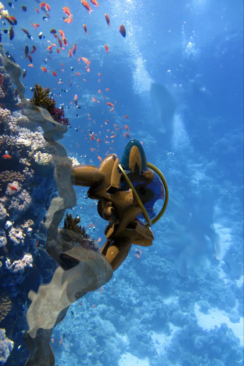 Submerged sculptural figure attached to a concrete structure surrounded by coral and tropical fish