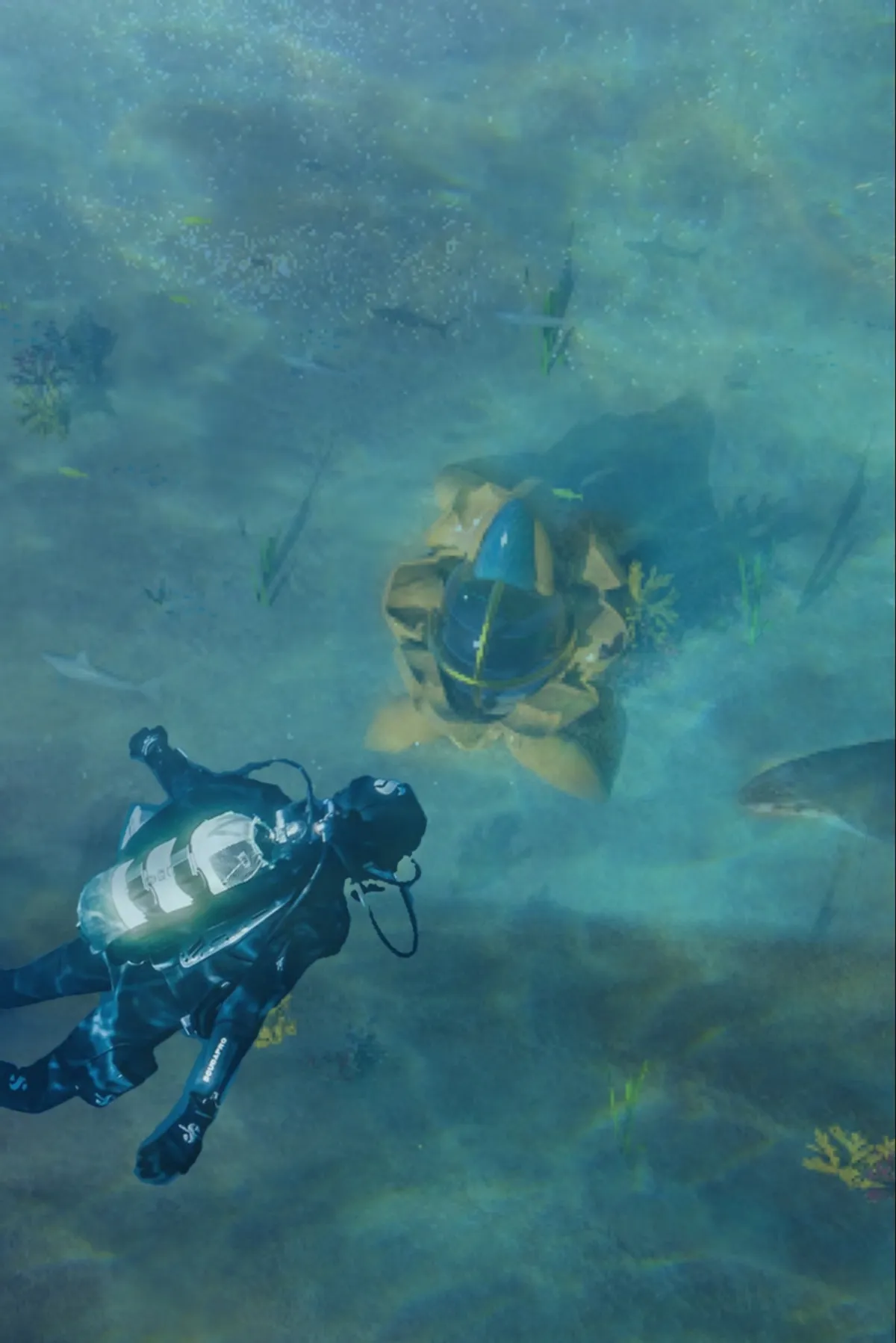 Operative Sanctuary: Sustainable Architecture Beneath the Ocean