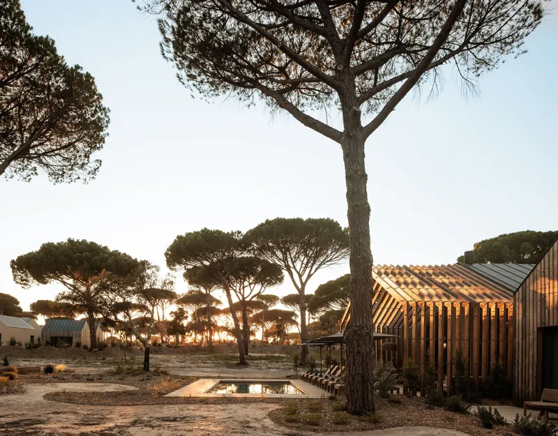 Sunken fire pit beneath pine trees with slatted timber pavilion at dusk