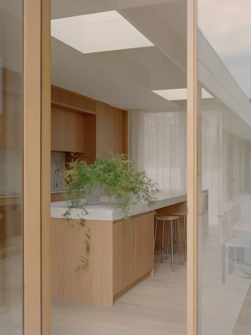Kitchen island with potted trailing plant viewed through timber-framed glass door