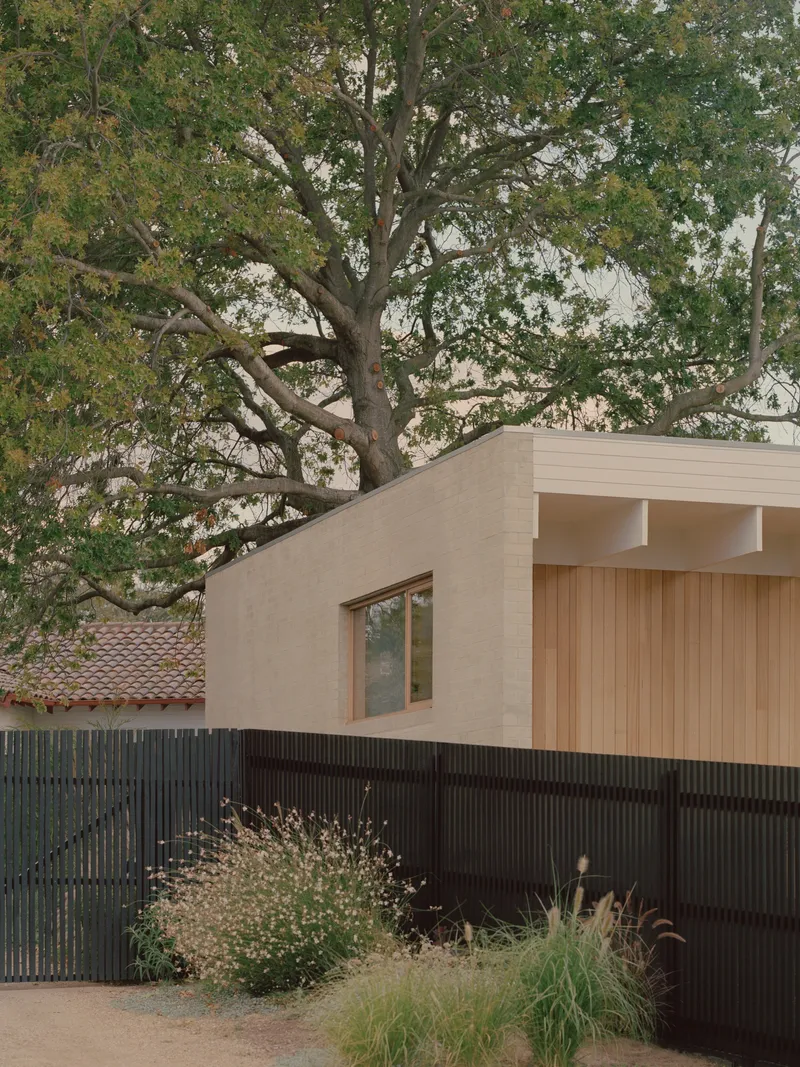 Street facade with timber cladding and black corrugated fence beneath a large overhanging tree canopy