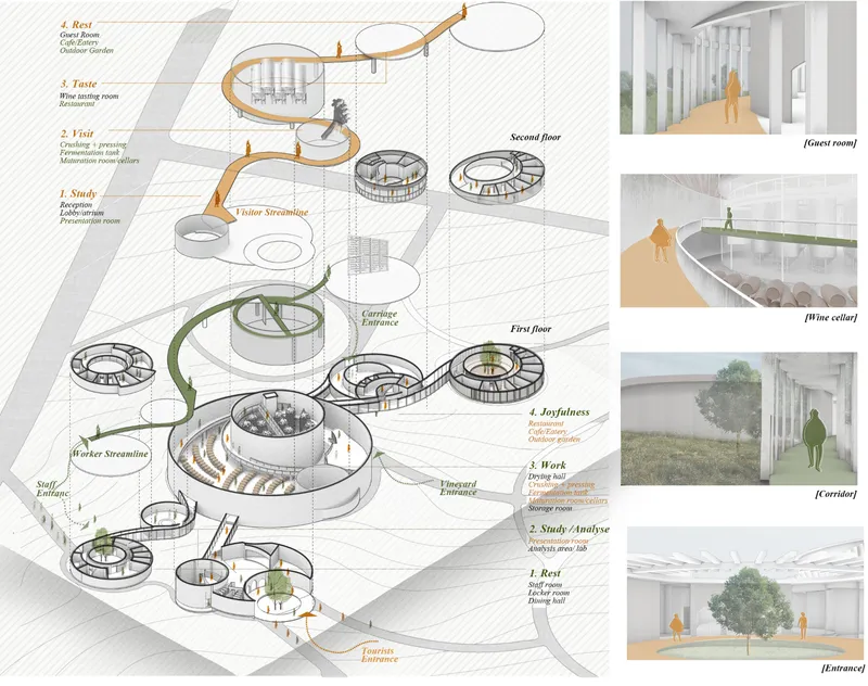 Layered circulation connects visitor experiences, production spaces, and worker facilities.