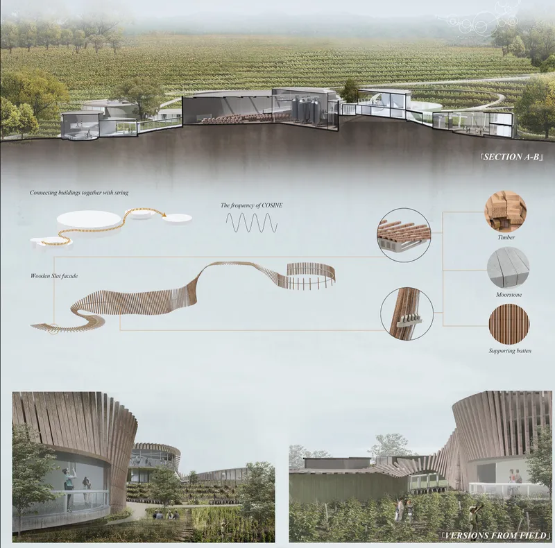 Sectional studies reveal terrain integration, timber façades, and immersive vineyard views.