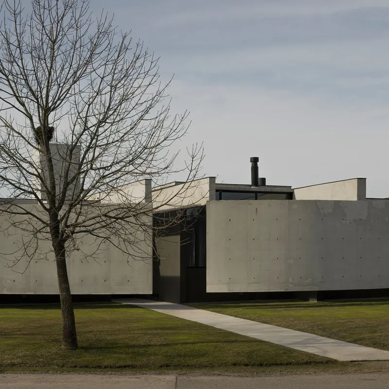 Concrete walkway leading to a recessed entrance flanked by a bare deciduous tree in winter