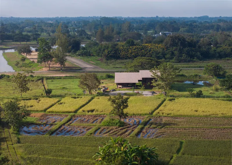 Aerial view of the stilt house complex situated among rice paddies and scattered trees in the rural landscape
