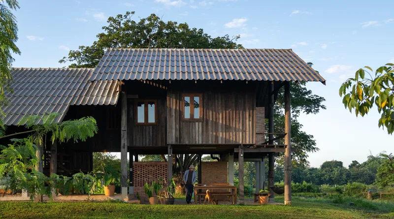 Weathered timber pavilion on concrete stilts with potted plants arranged beneath the shaded ground level