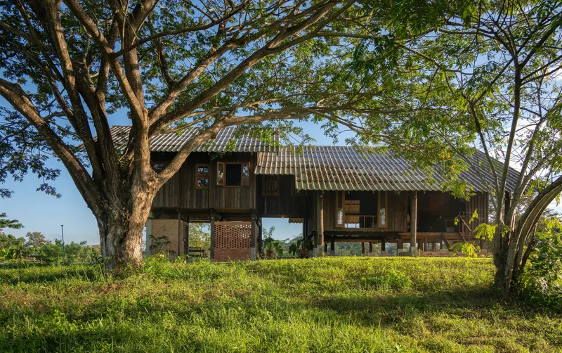 Front facade showing timber cladding and perforated brickwork framed by large trees in afternoon light