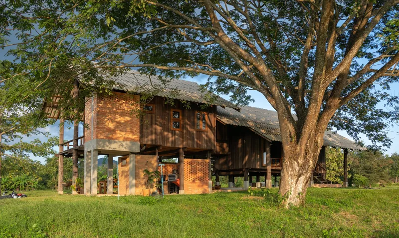 Facade with dappled sunlight filtering through tree branches onto the timber walls and brick volume