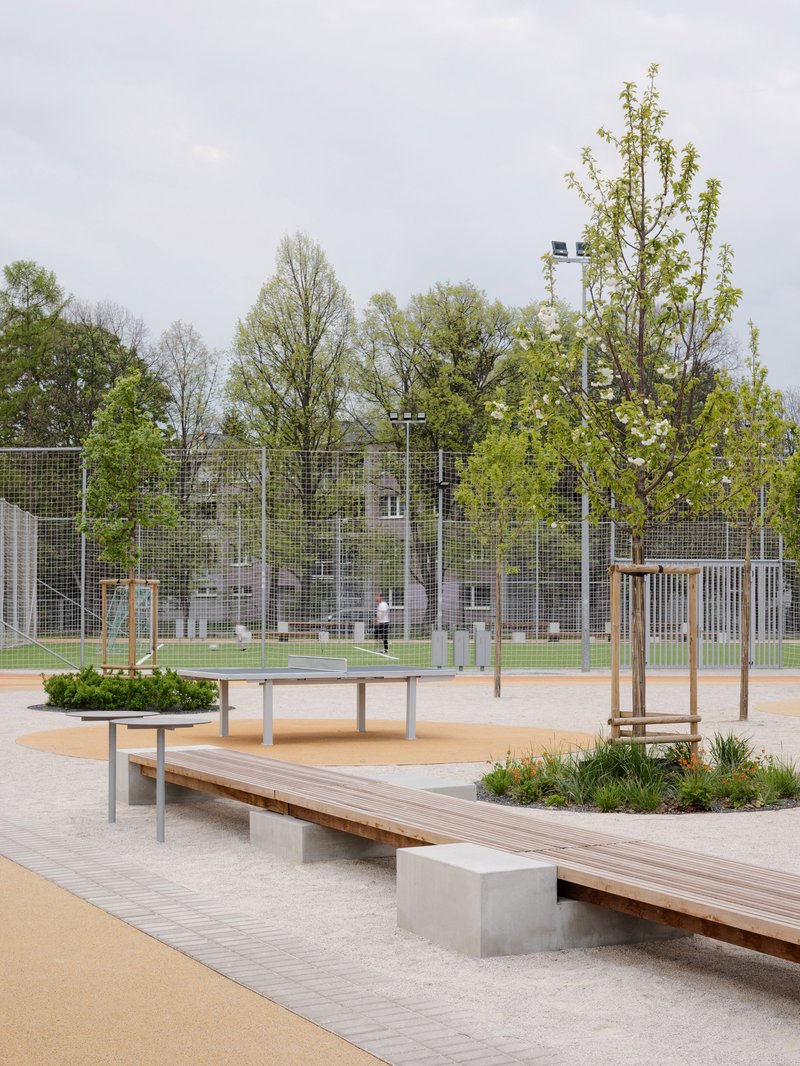Public courtyard with timber benches, planted beds, and young trees adjacent to a wire mesh sports fence