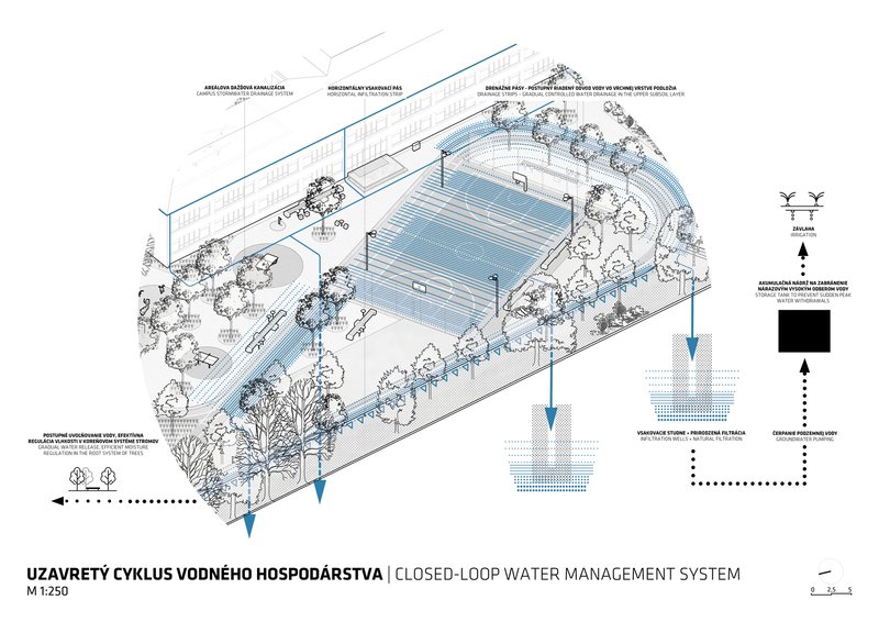 Axonometric drawing illustrating water management systems with blue arrows and planted areas around the sports field