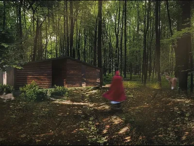 Imposition: A Narrative Architectural Design Rooted in Deception, Perception, and the Forest Journey