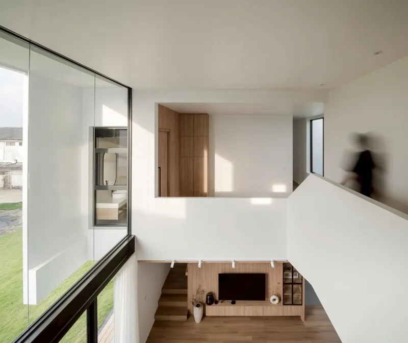 Interior staircase with timber treads connecting levels beneath a tall glazed wall with dappled sunlight