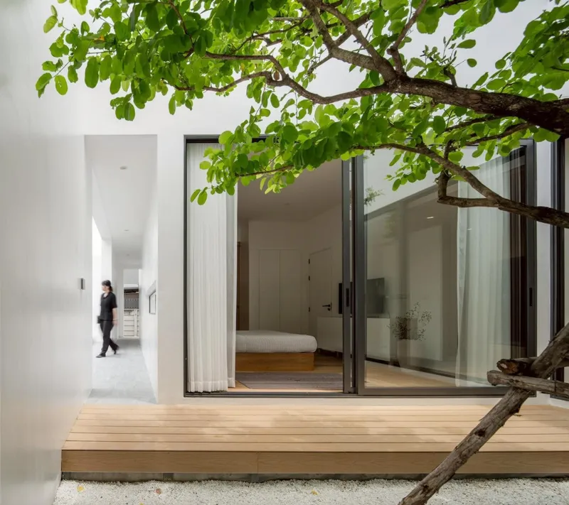 Courtyard with timber deck and black-framed glass doors opening to a bedroom beneath a tree