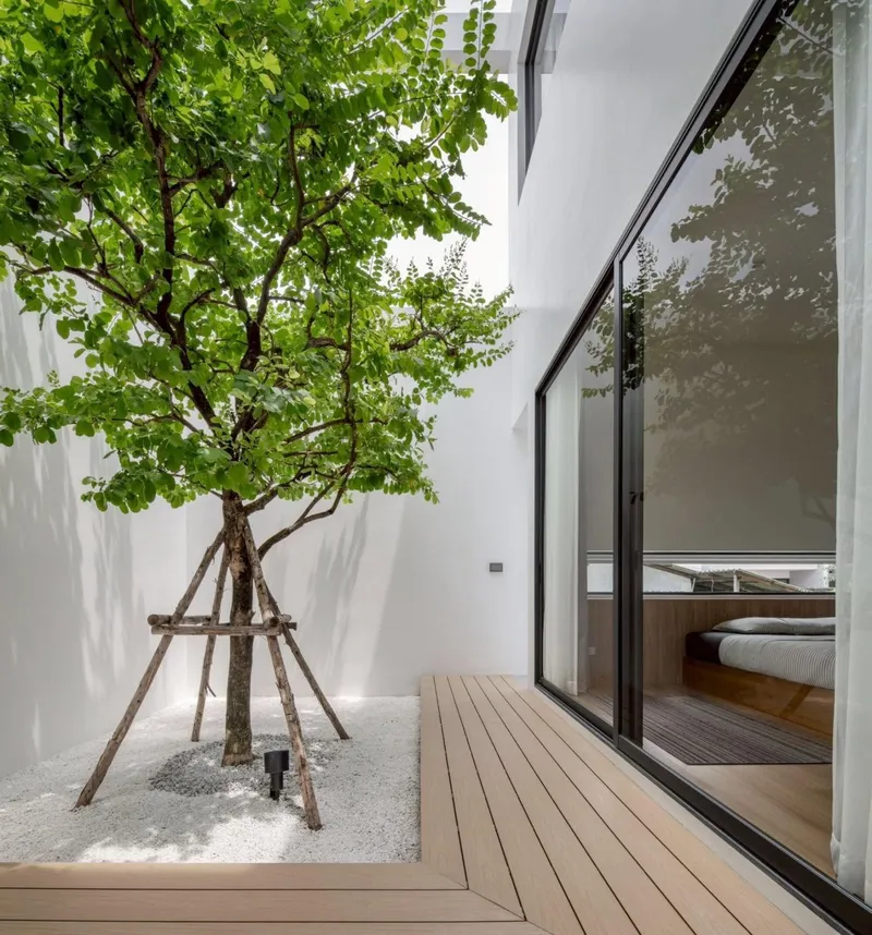 White-walled courtyard with timber deck, gravel bed, and supported tree beside glazed bedroom opening