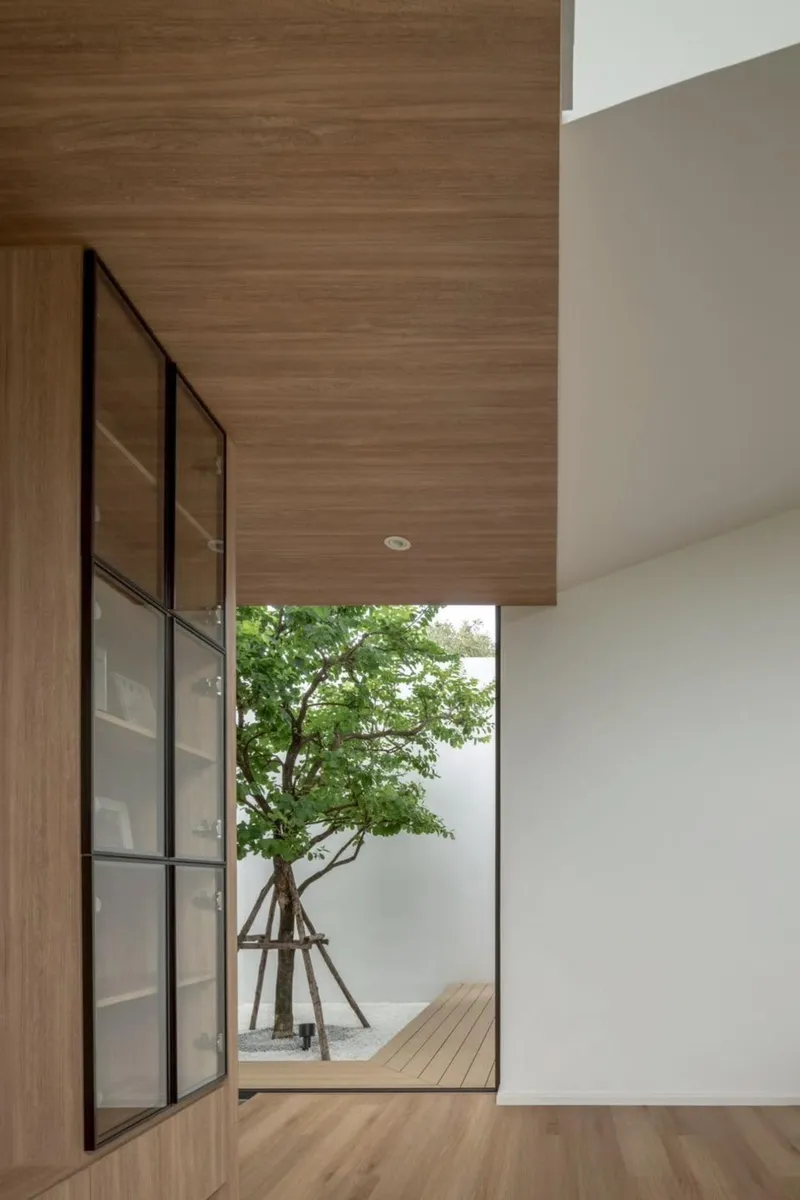 View through black steel-framed doors to a courtyard tree framed by wood ceiling and white walls