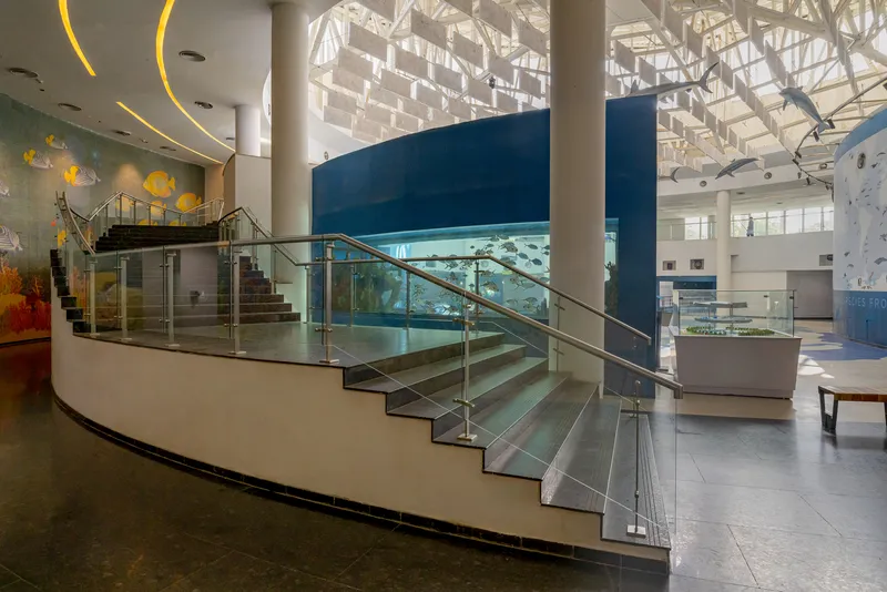 Curved staircase with glass balustrades and metal handrails beneath a geometric glass roof structure and yellow ceiling details