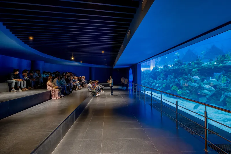 Darkened auditorium with tiered concrete seating facing a large aquarium window illuminated in blue light at dusk